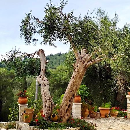 Villa Raxi Fountana Экстерьер фото
