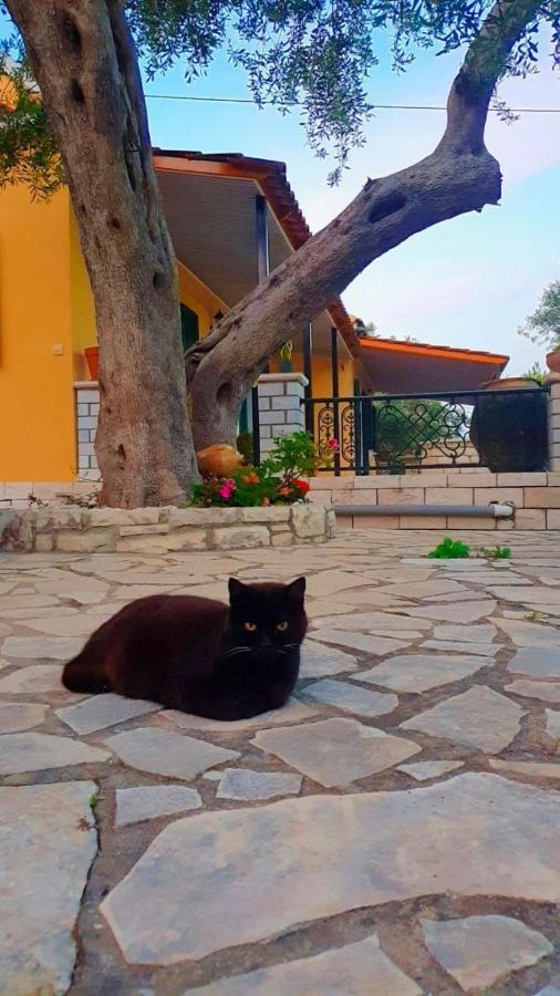 Villa Raxi Fountana Экстерьер фото